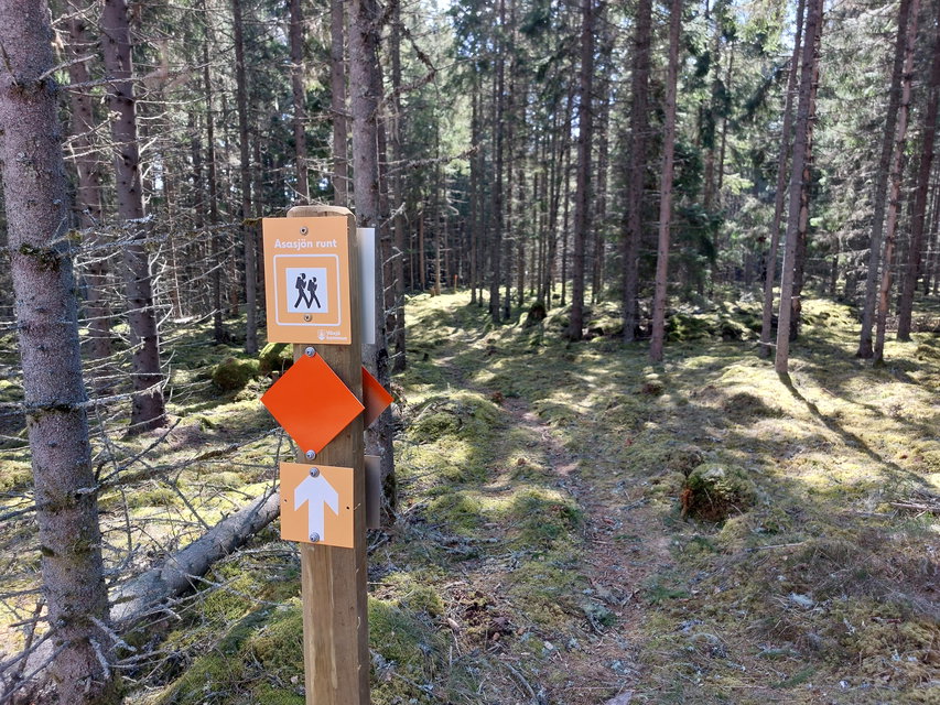 Ledmarkering utmed 24 km
