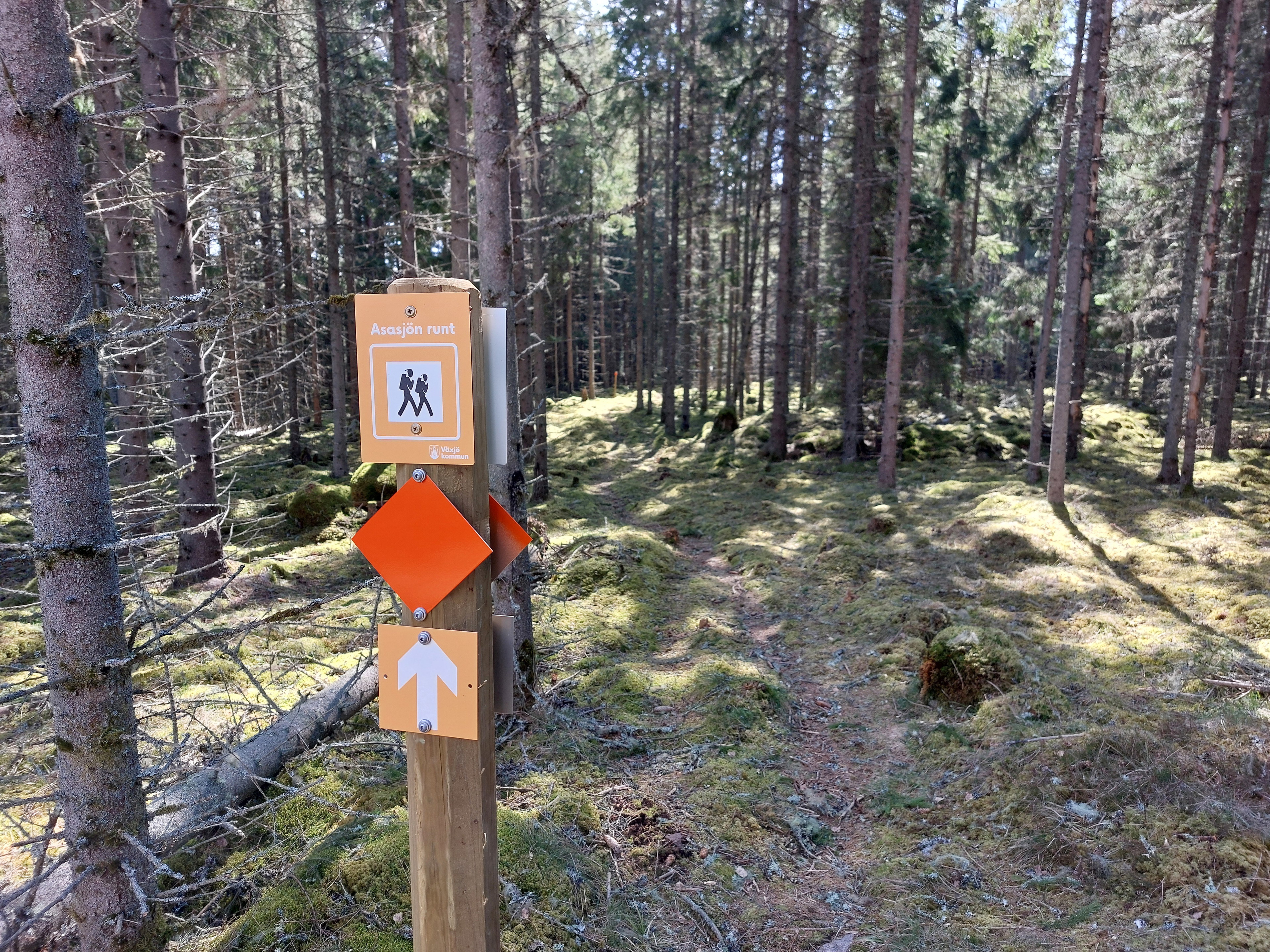 Der Asasjön-Rundweg