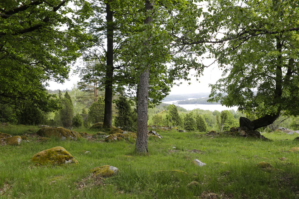 Pricka in några av Blekinges finaste naturreservat. 