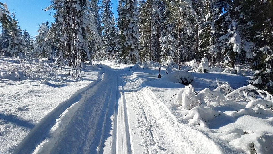 Sjuvallsleden