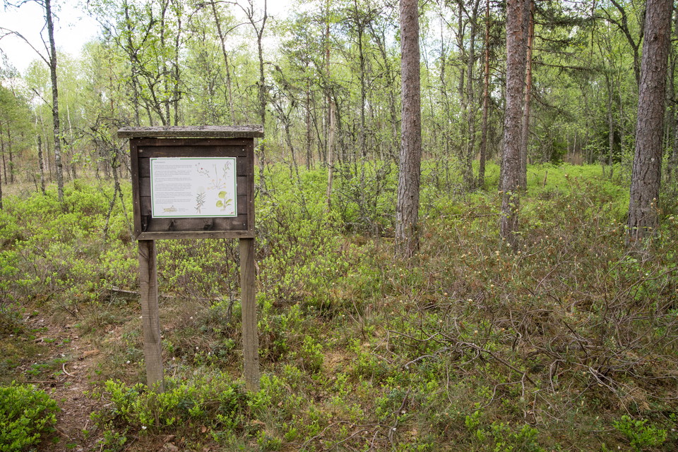 Fotograf: Tobias Ivarsson