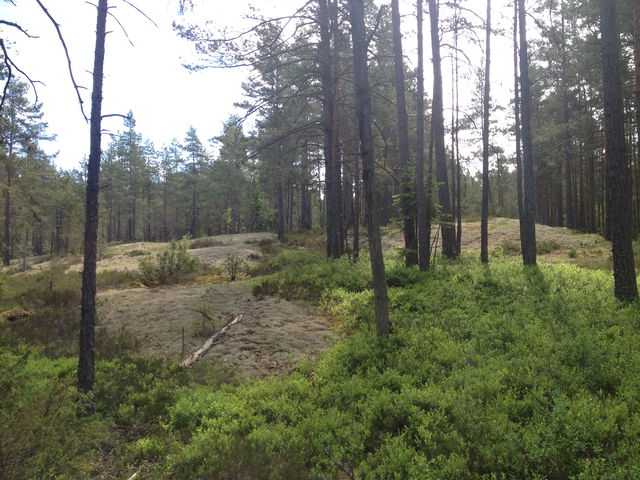 Bromossen nature reserve