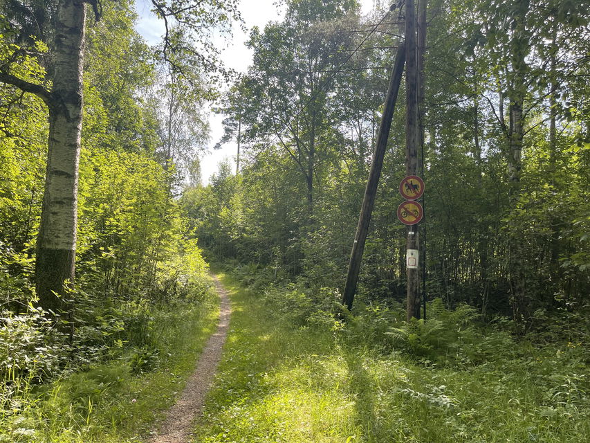 Elljusspår