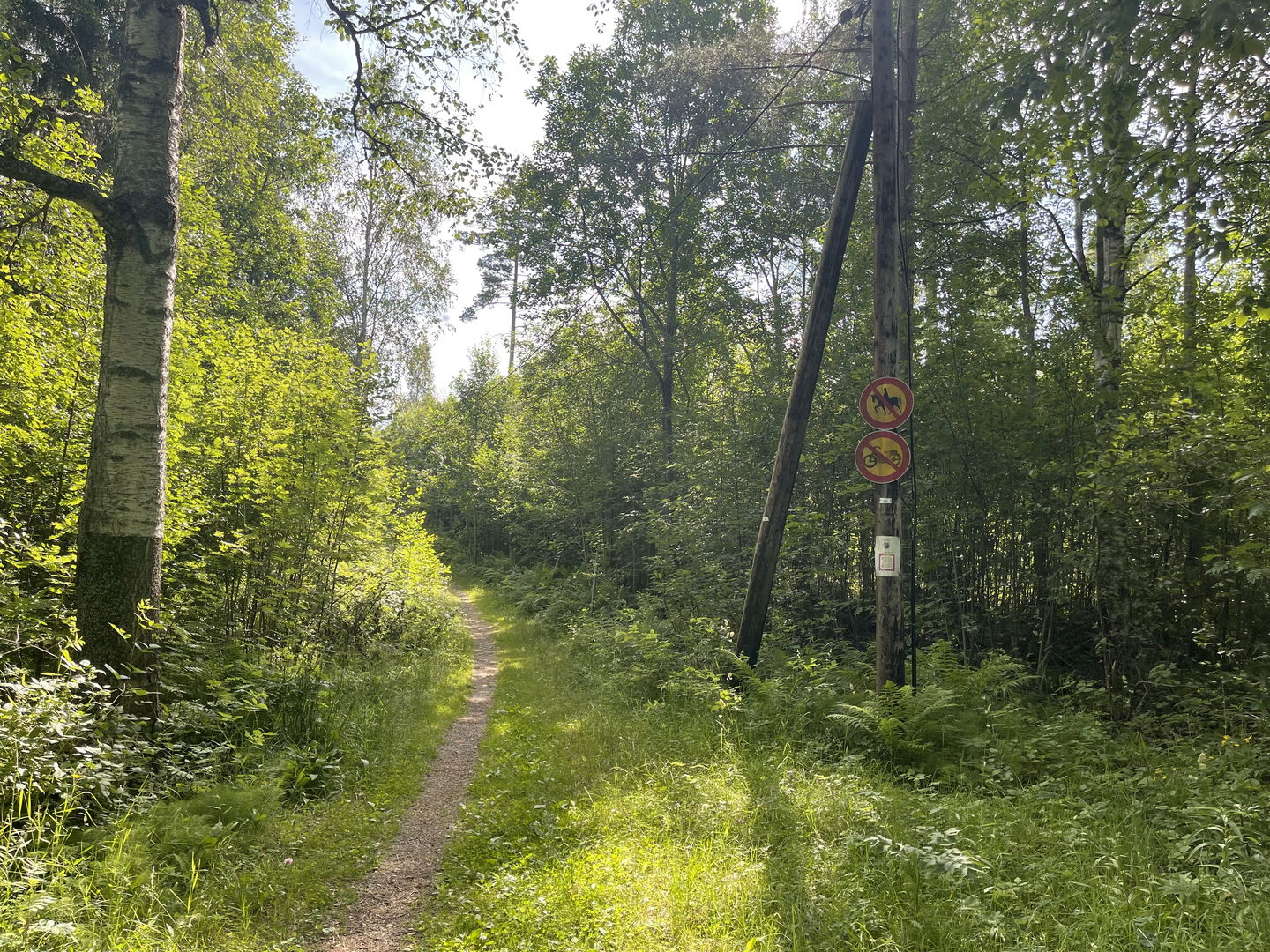 Elljusspår