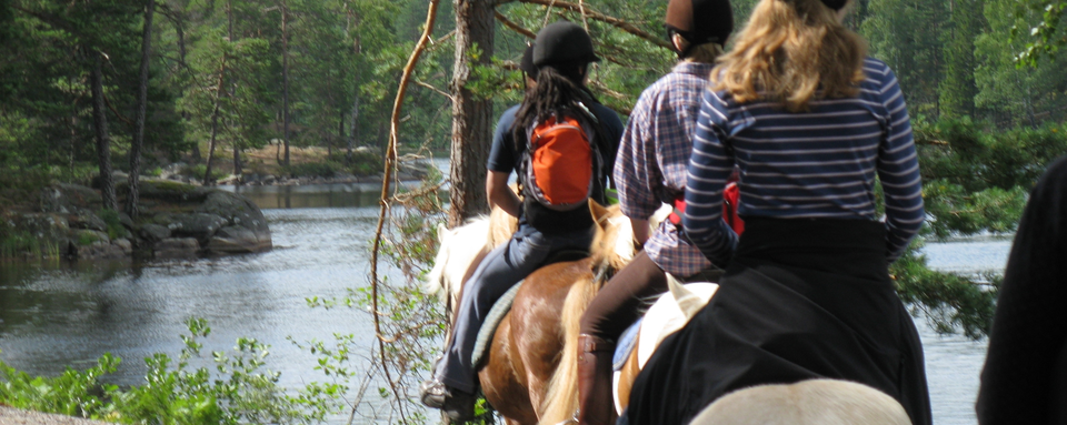 Ösjönäs - Tivedens activity and adventure center