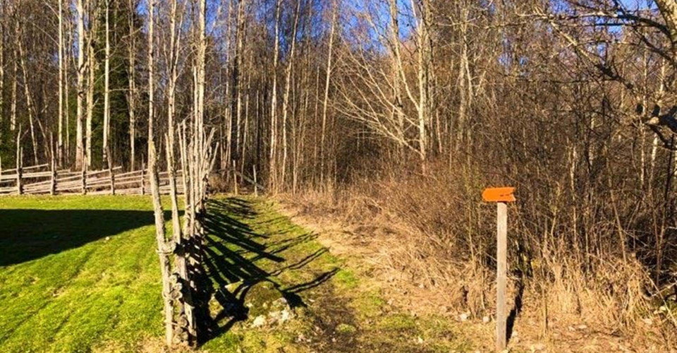 Rundslinga i Tjällmoskogarna.
Motala.