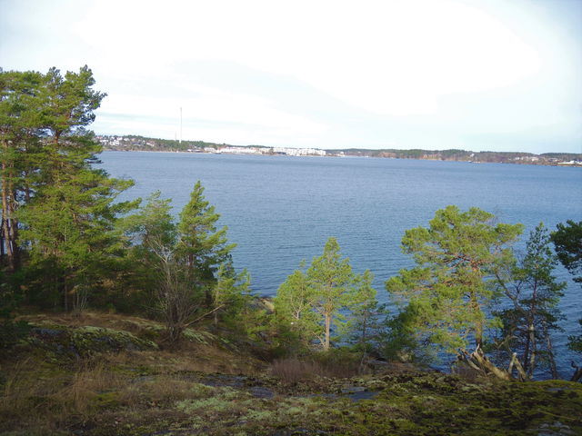 Utkiksplats vid Klippudden i Gärdesudden naturreservat