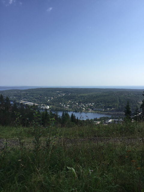 Utsikt från Nolbykullens topp