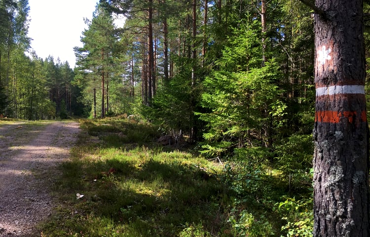 Södra slingan