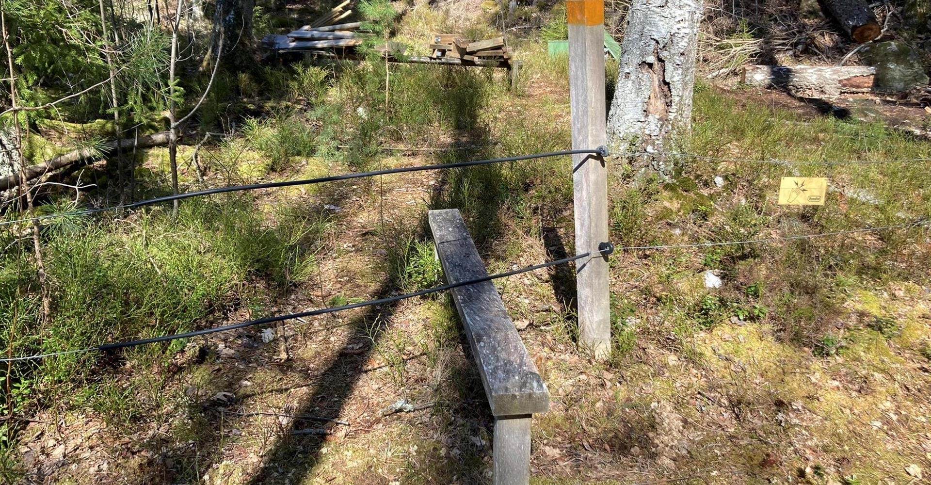 Stängselövergång vindskydd Långgölen Etapp: Falerum-Rumma