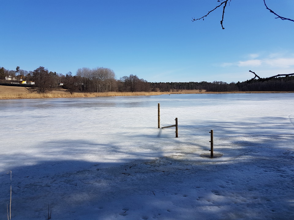 Gråviken. Fågelskyddsområde. Foto Lidingö stad.