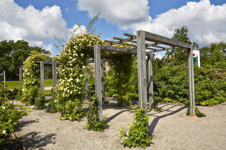 Fotograf: Hans Runesson