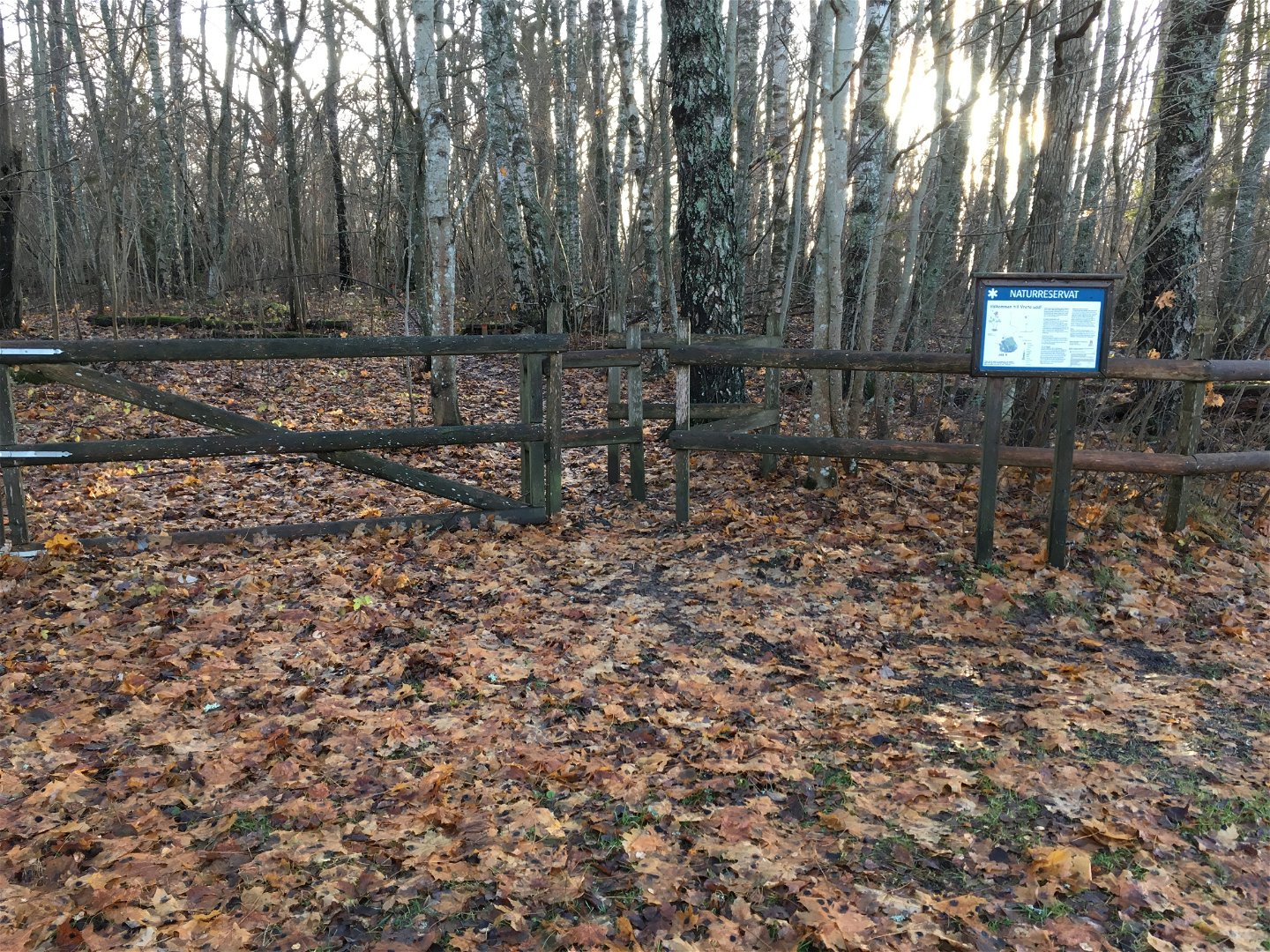 Vid ett staket står en informationsskylt. Bakom staketet står många kala lövträd. 