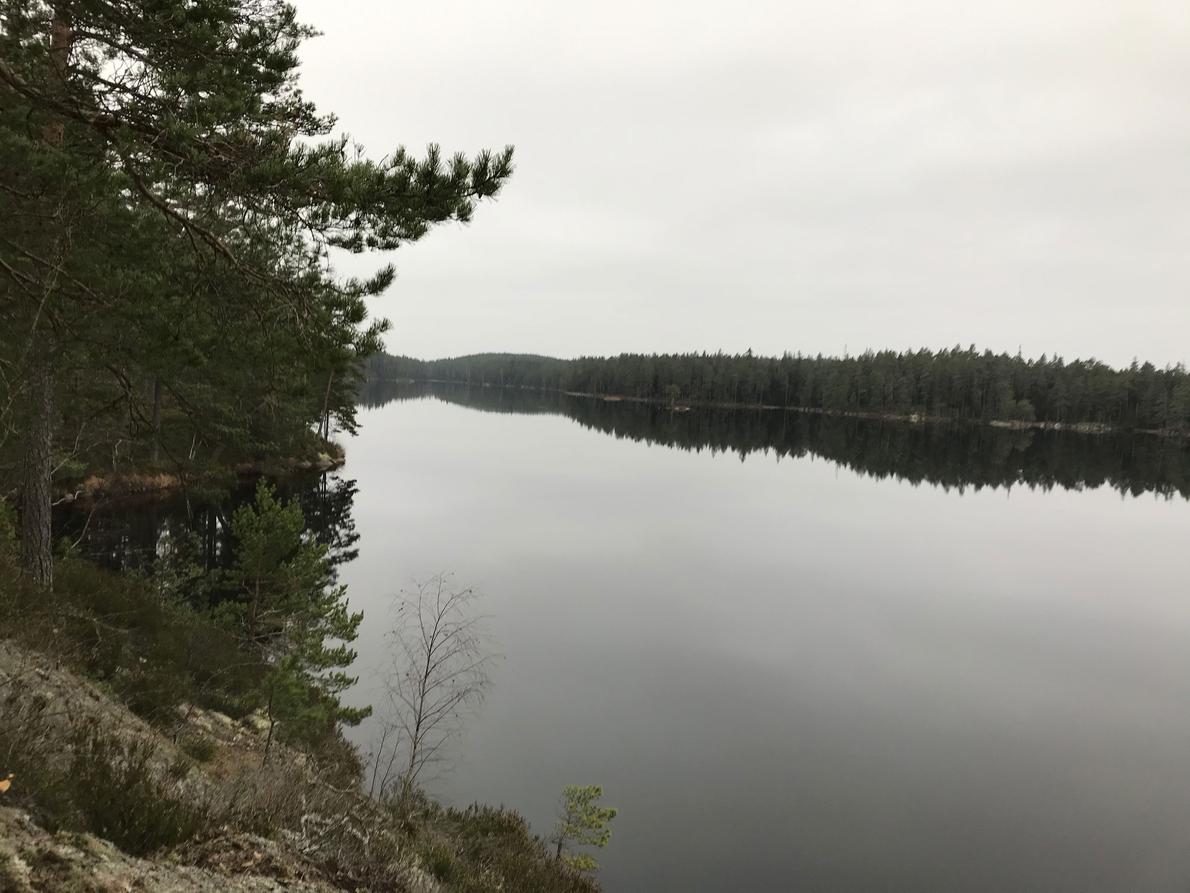 Lilla Trehörningen