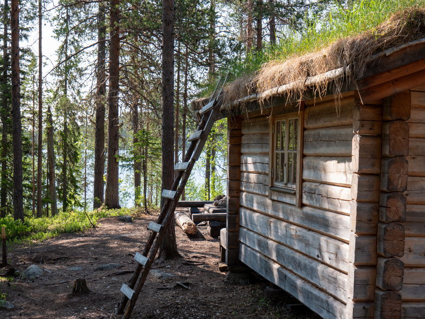 Angsjökojan.