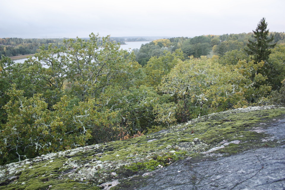 Från ett högt berg har man utsikt över skog och vatten.