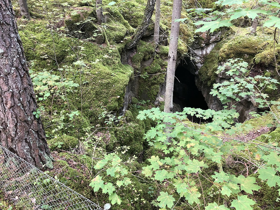 Mörkt gruvhål bland grönskande skog.