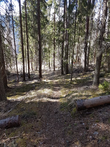 Hattbergsleden Sillre naturstigar