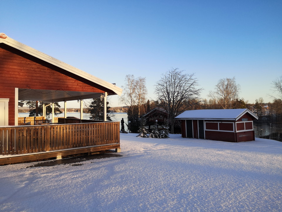 Vy över parken vintertid