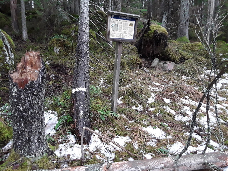 Ströja naturreservat