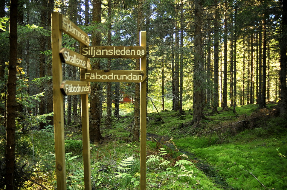 Gamla träskyltarna 