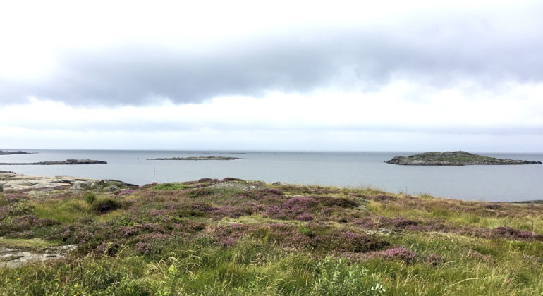 vy över havet 