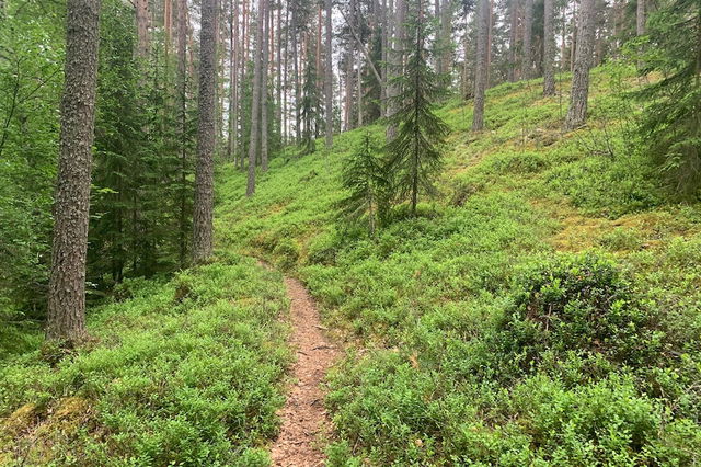 Naturstigen går på en rullstensås och inbjuder till vandring i en härlig natur.