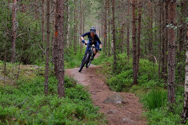 Surahammar — Lindmuren mountain biking trails, 4 routes totalling 12.1 km (MTB Red)