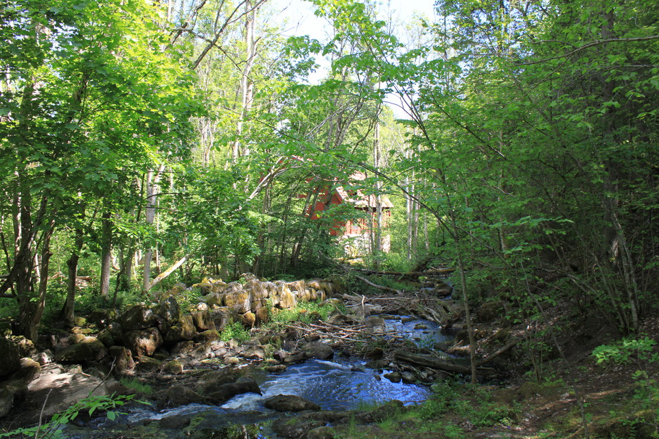 En ravin med stenar och vatten. Längs strandkanten växer många buskar och träd. 