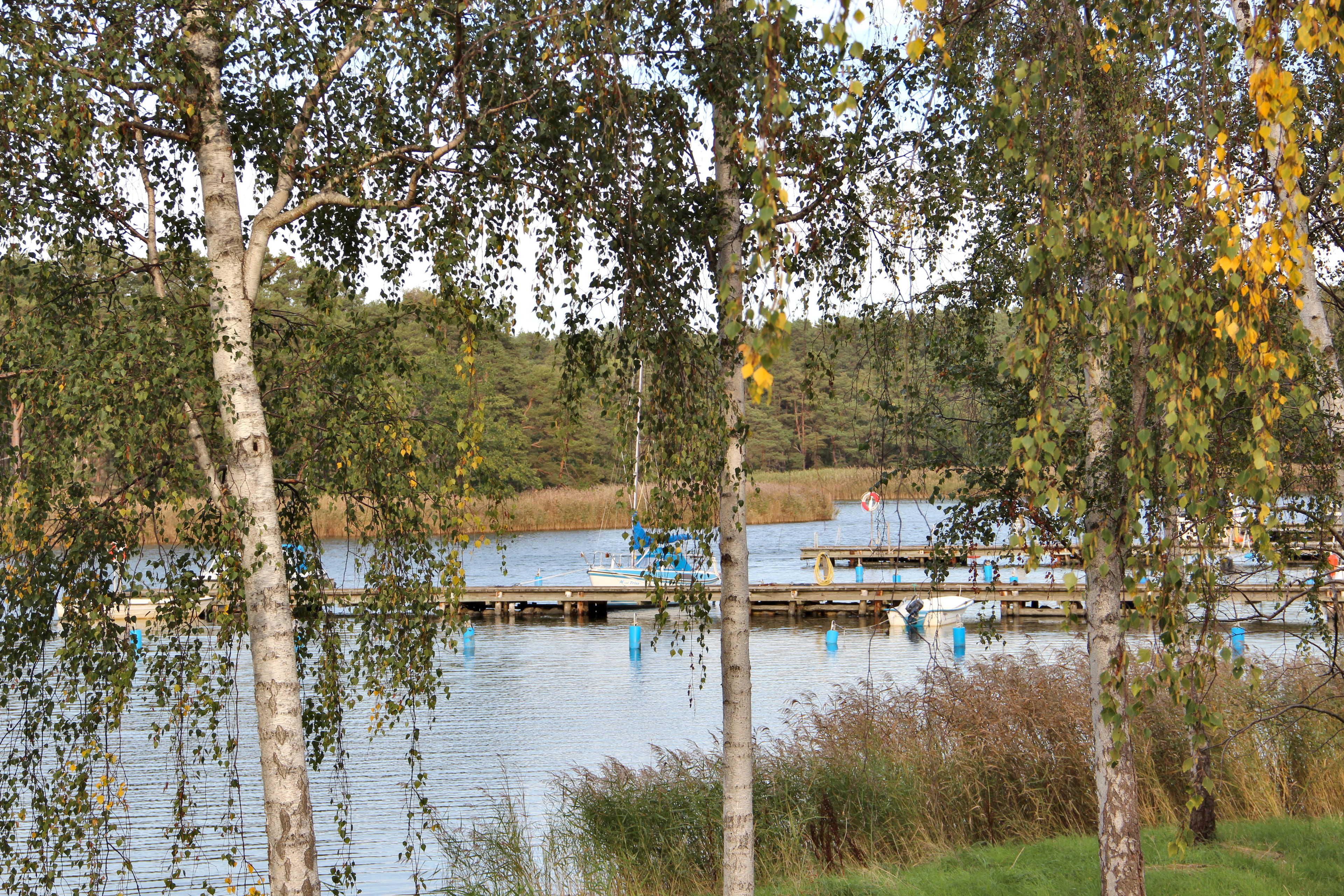 Kalmarsundsleden (Värsnäs - Kalmar)