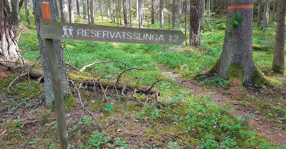 Rödgölsskogens naturreservat Etapp: Tryserums rundslinga, Valdemarsvik