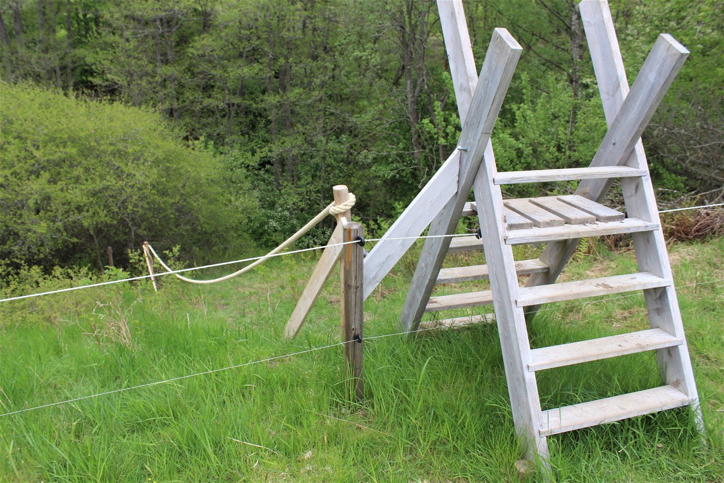 Stängselövergång och handräcken av rep som ger stadga vid branta och hala partier längs stigen.
