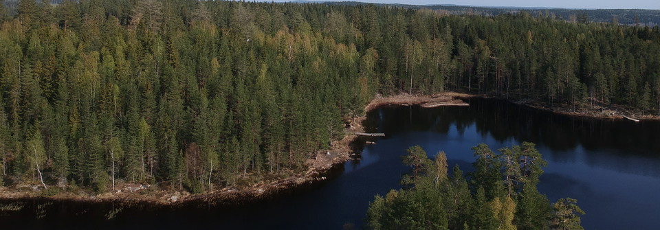 Abborrtjärn