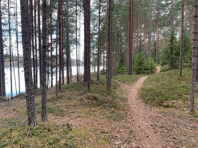 Lättvandrade stigar 