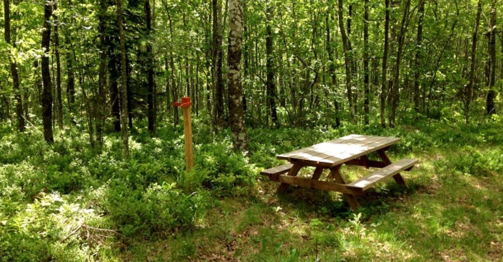 Hälla ädellövskog naturreservat, rastplats