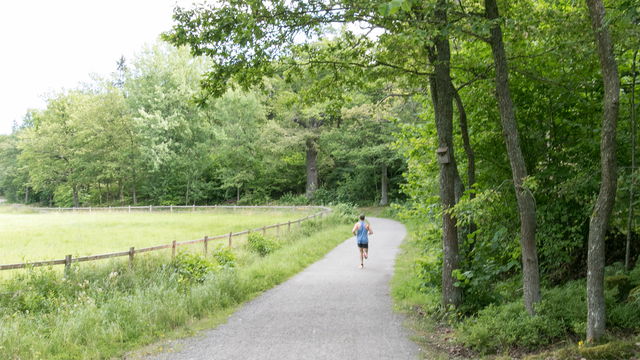 Långängarna i Nyckelviken
