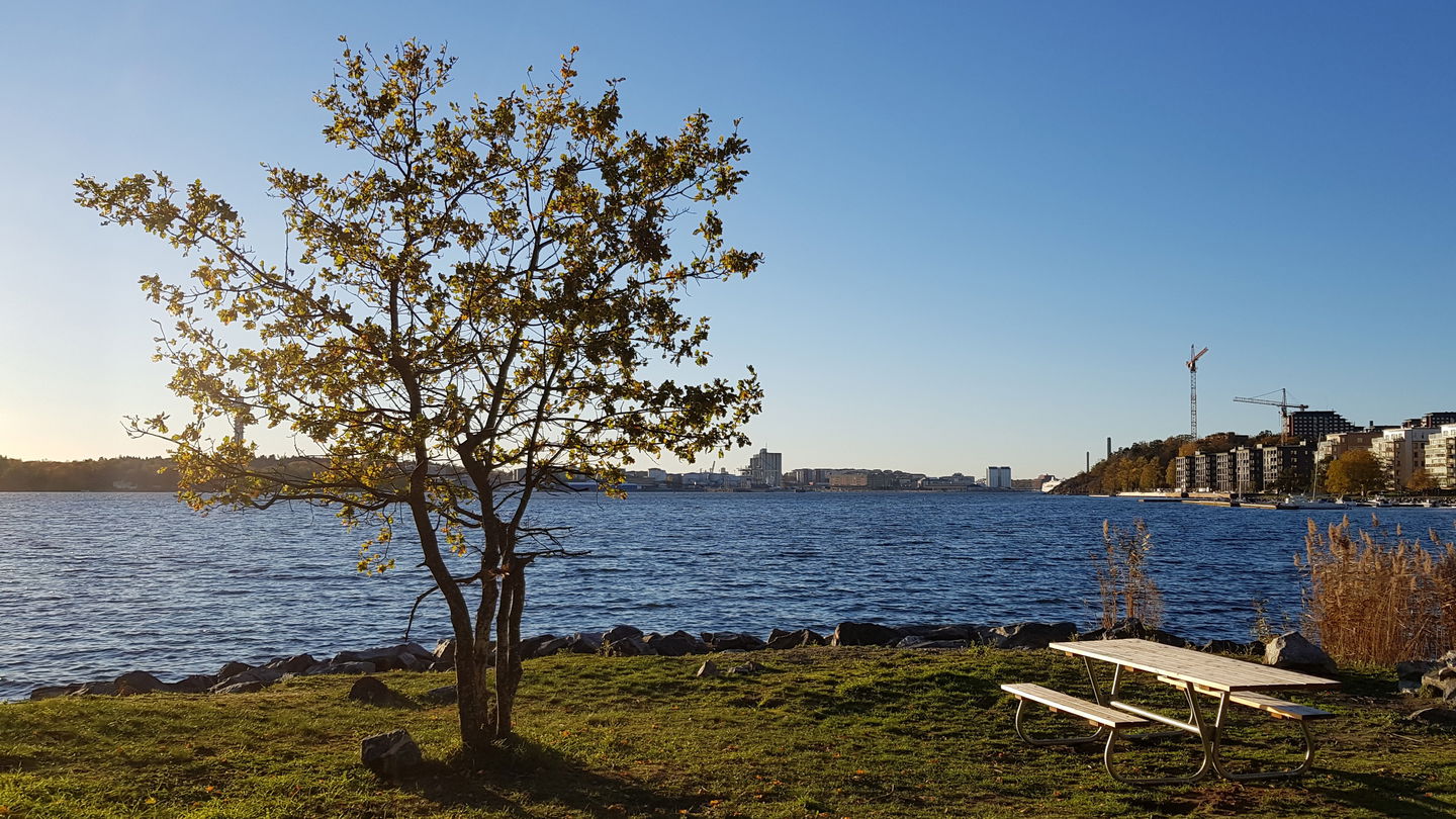 Bänkbord vid grillplats i Kappsta. Foto Lidingö stad