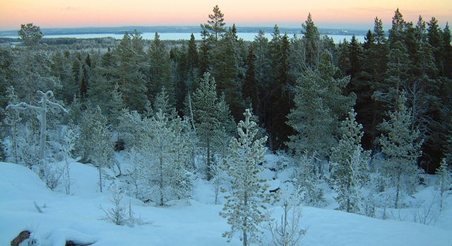 Svallmyrberget