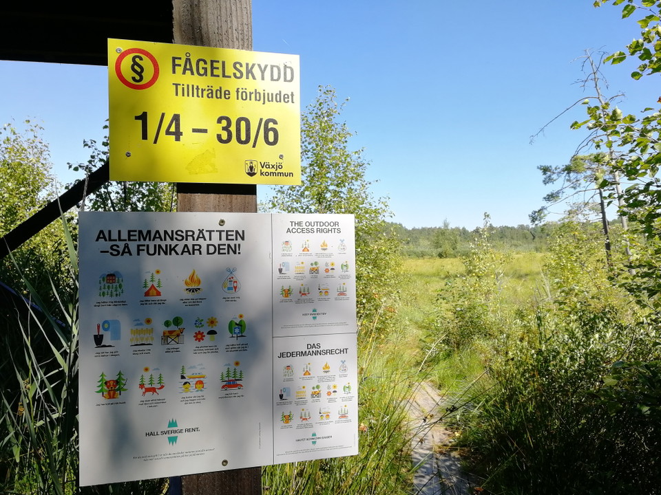Information