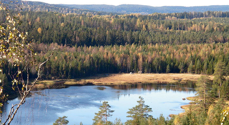 Valsjötjärnen.