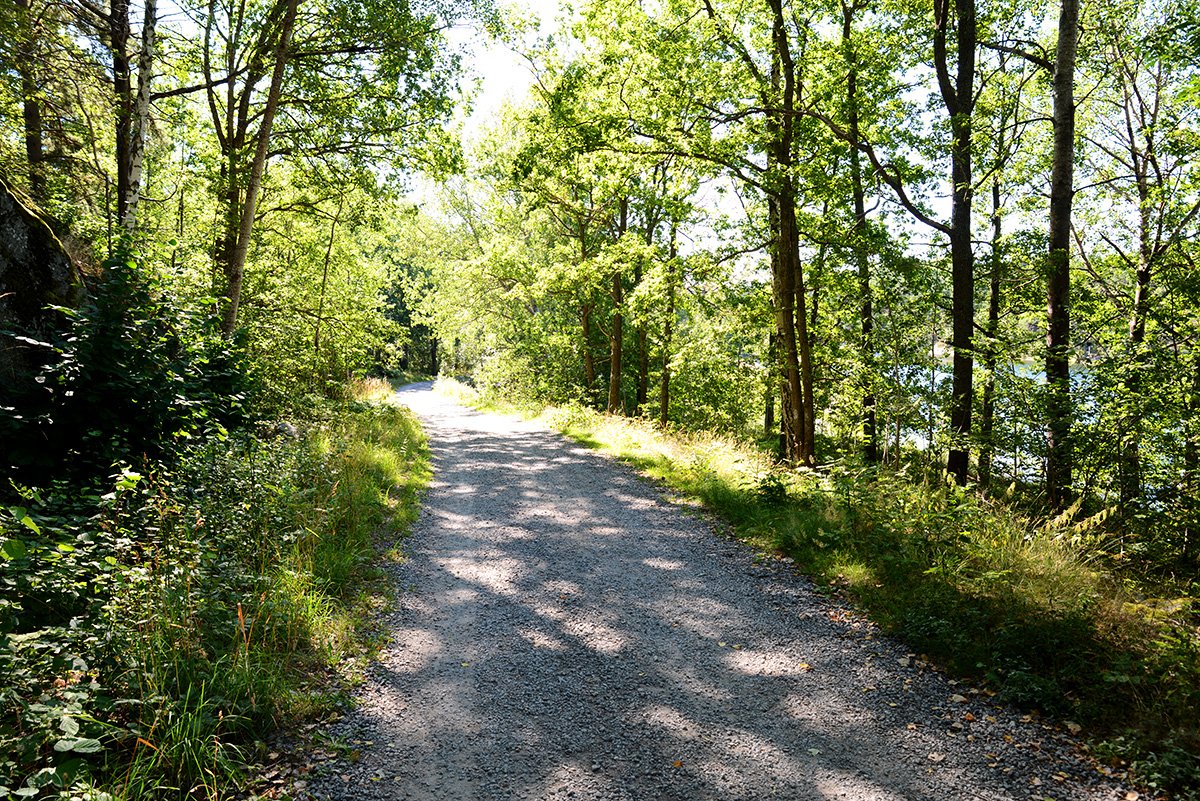Flatens skogsväg, på östra sidan.