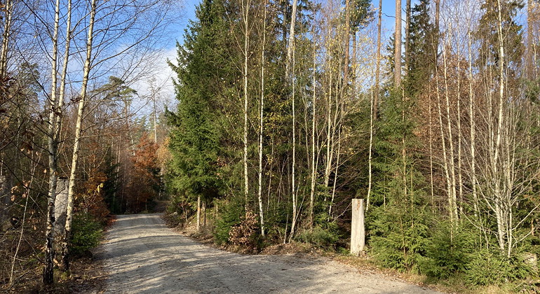 Vid parkeringen.