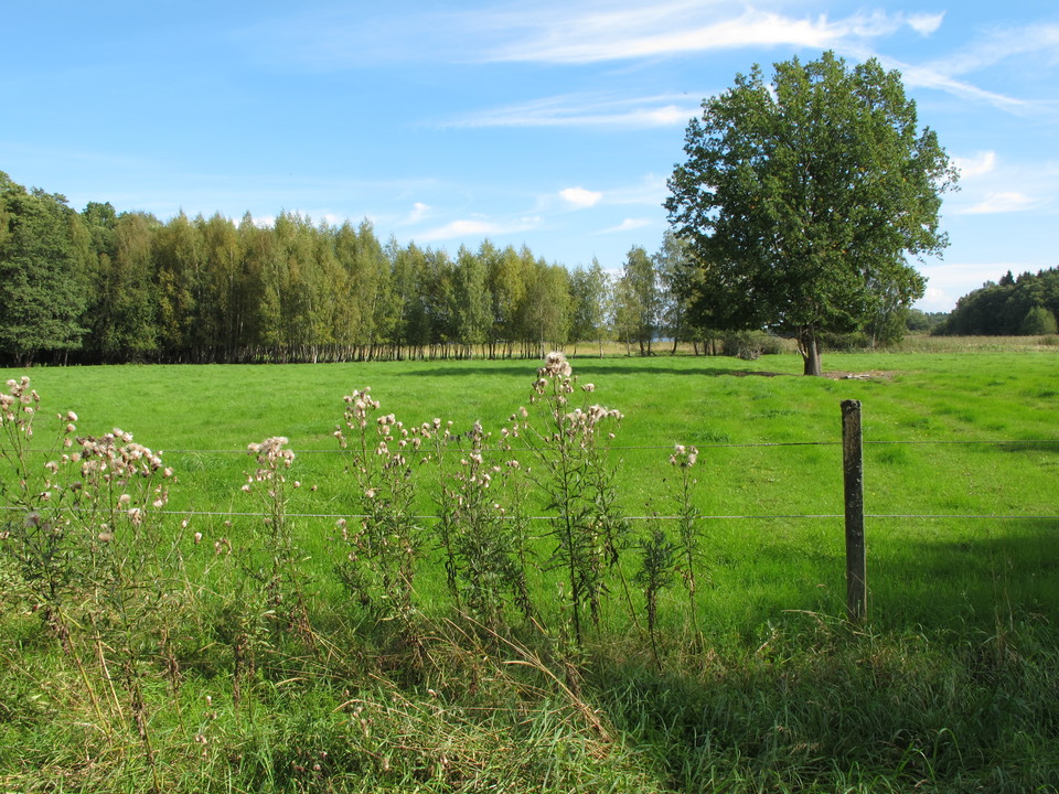 Lovö naturreservat. Foto: Björn Carlberg.