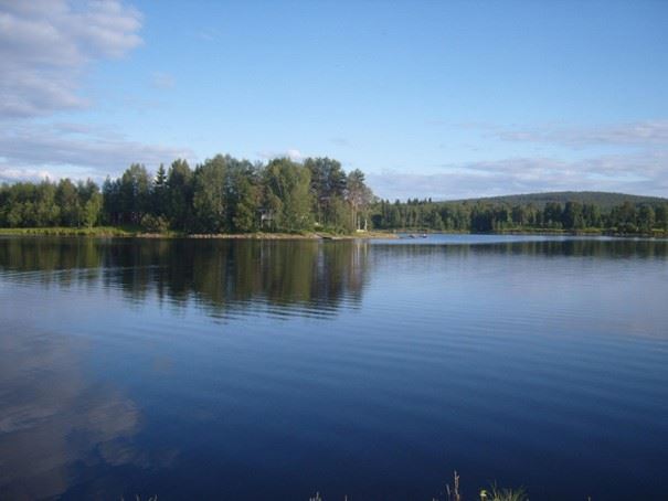 Fiske i Lissjön