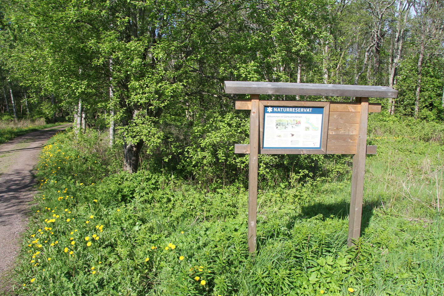 Informationstavla i grönskande natur.