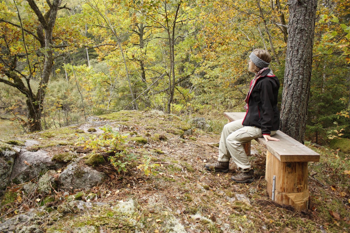En kvinna sitter på en bänk i skogen och tittar ner på en vattenfylld sänka. Bänken står uppe på höjd på en bergshäll.