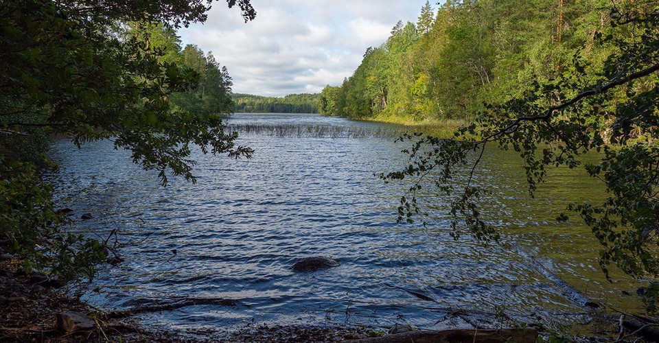 Etapp: Kisa-Horn.
Kinda.