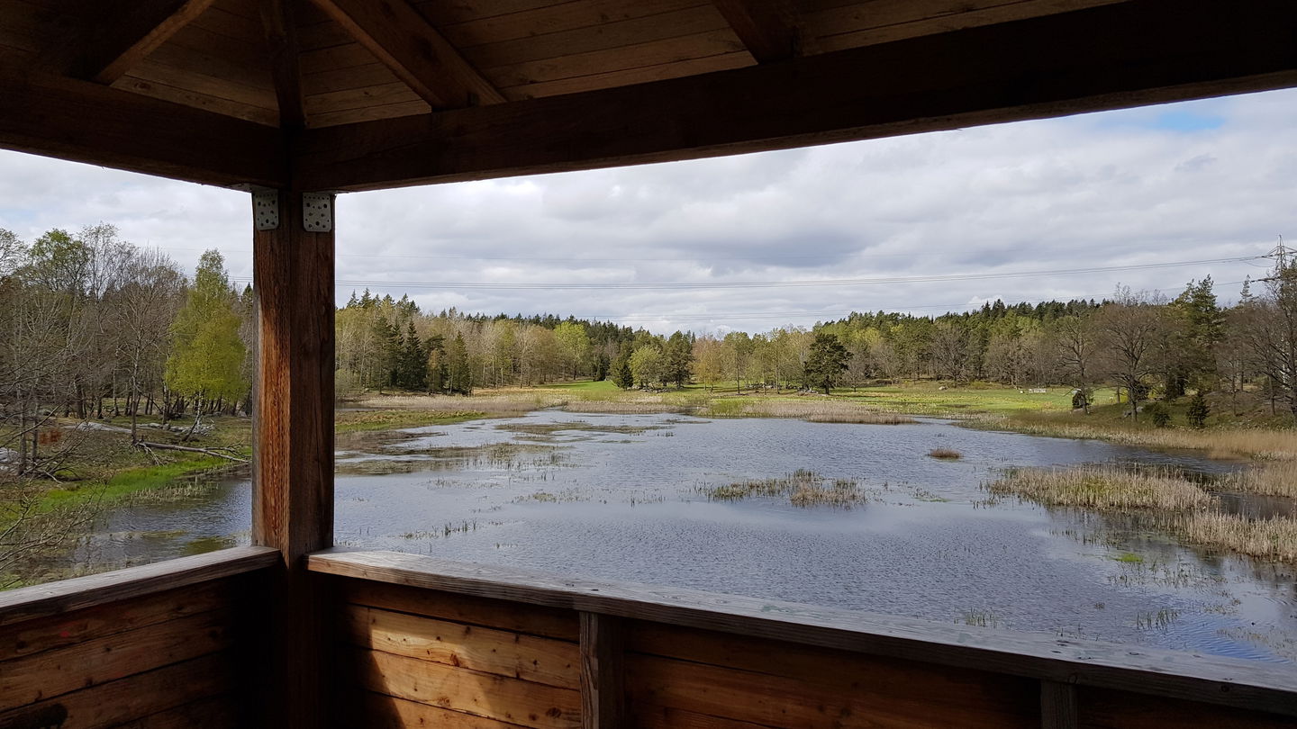 Utsikt från fågeltornet vid Västra Långängskärret. Foto Lidingö stad