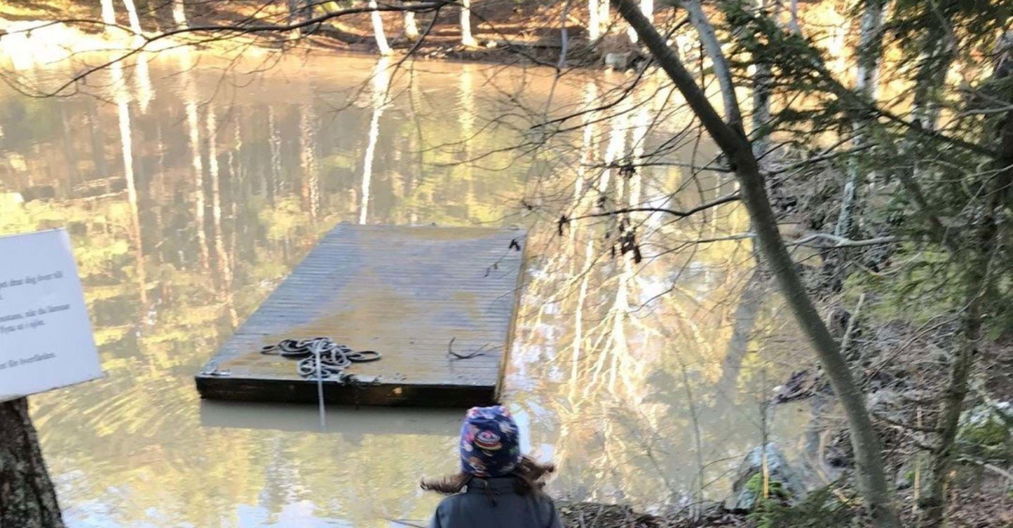 Vindskydd vid Dalmyrasjön
Etapp: Mauritsberg-Dalmyrasjön och Dalmyrasjön-Skirsjön
Norrköping