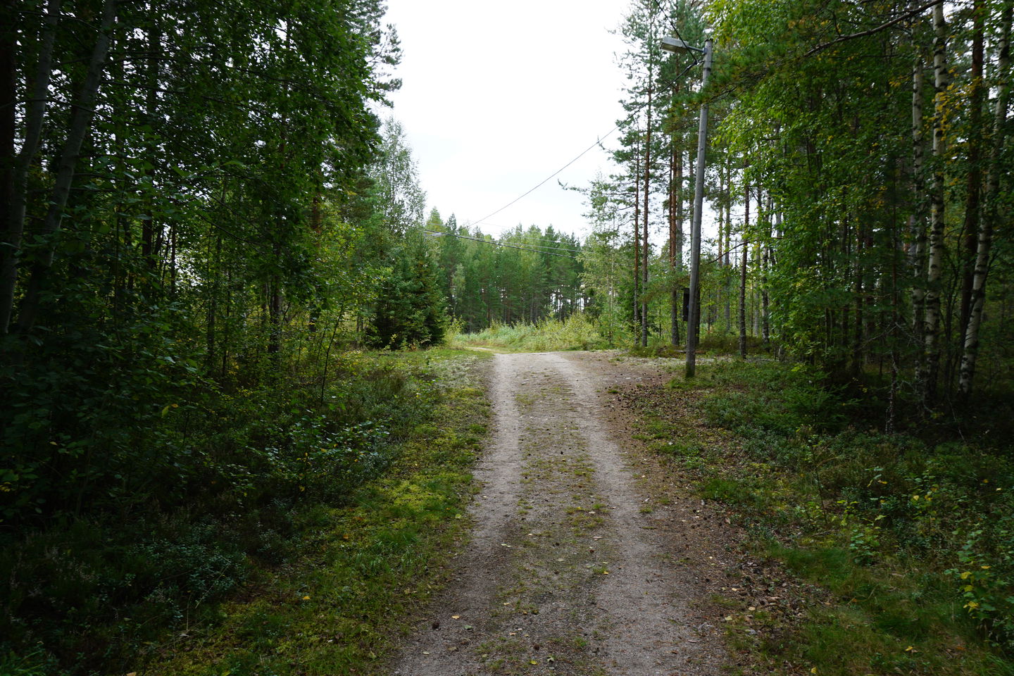 Hedens motionsspår